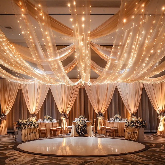 Shillance 6 Panels Champagne Tulle Ceiling Drapes with Lights